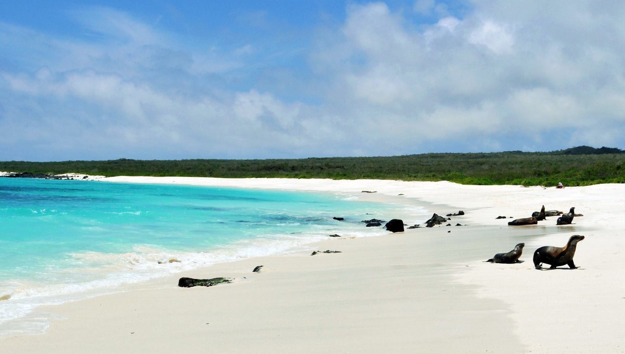 Galapagos Islands Eucador Amie OShaughnessy Travel with Kids Holidays with children By the Sea with three