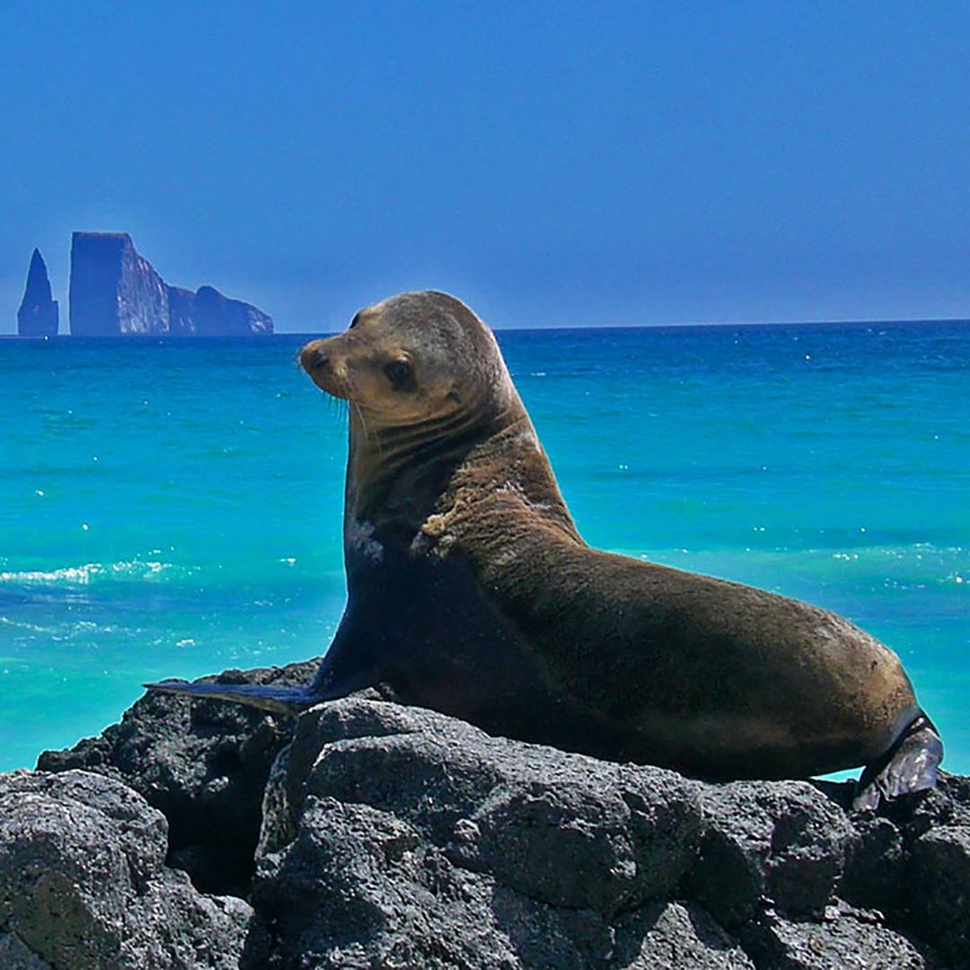 Galapagos Islands Eucador Amie OShaughnessy Travel with Kids Holidays with children By the Sea with three