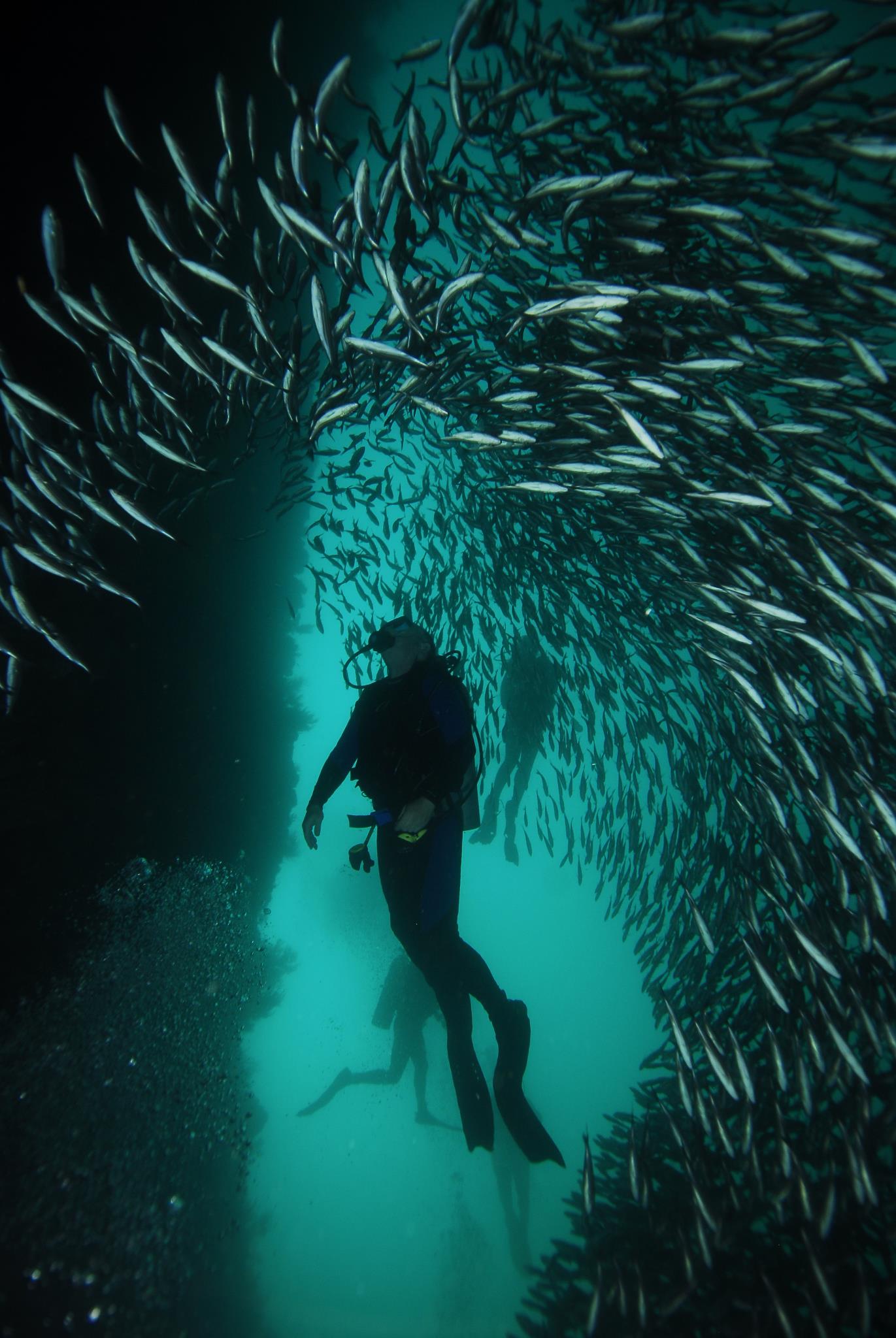 Galapagos Islands Eucador Amie OShaughnessy Travel with Kids Holidays with children By the Sea with three