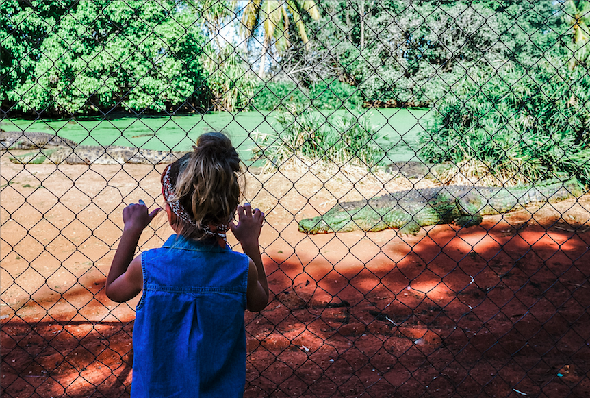 A little at large by the sea with three broome western australia