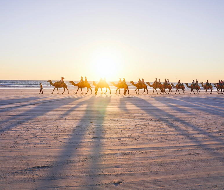 A little at large by the sea with three broome western australia