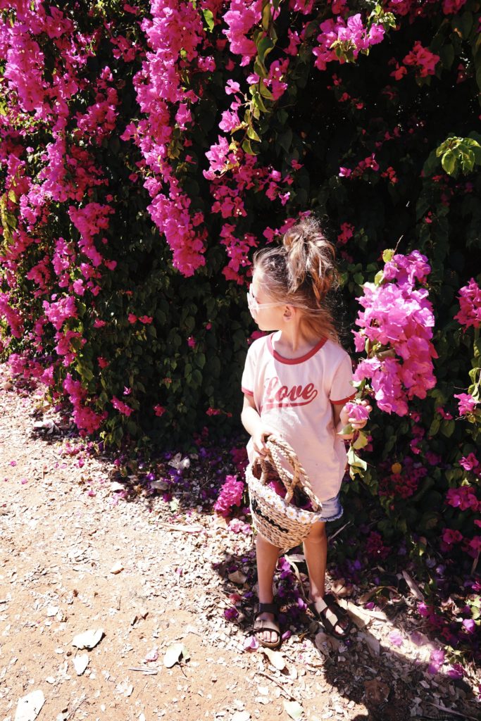 A little at large by the sea with three broome western australia town beach bouganvillea