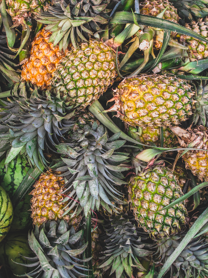 Pineapples Sri Lanka By the Sea with Three Family Travel Jacqueline Alwill Brown Paper Nutrition