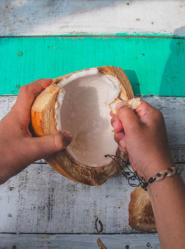 Coconut Sri Lanka By the Sea with Three Family Travel Jacqueline Alwill Brown Paper Nutrition