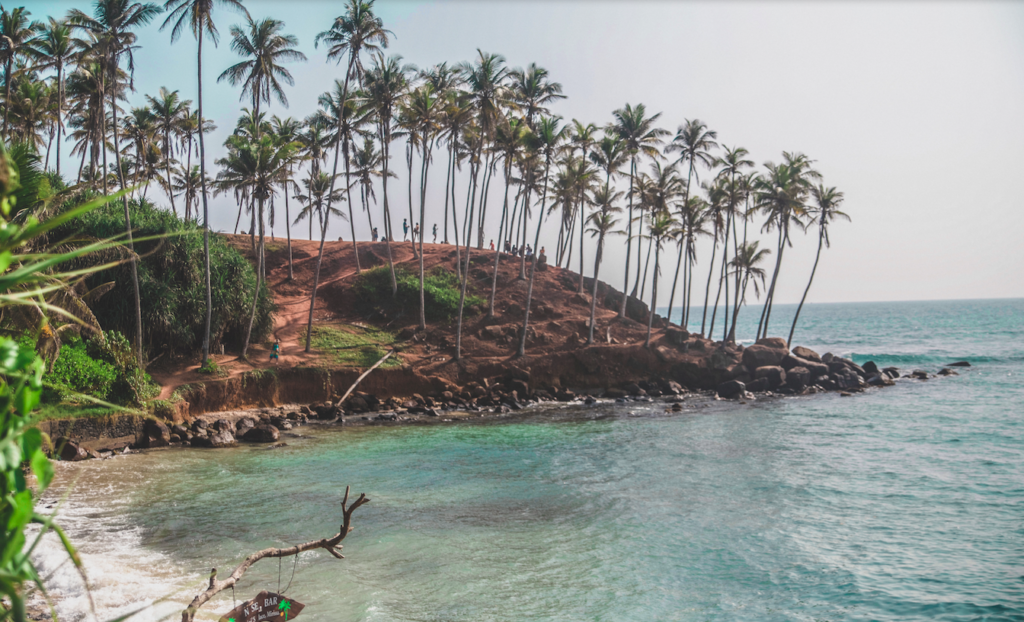 Palm Trees Paradise Sri Lanka By the Sea with Three Family Travel Jacqueline Alwill Brown Paper Nutrition