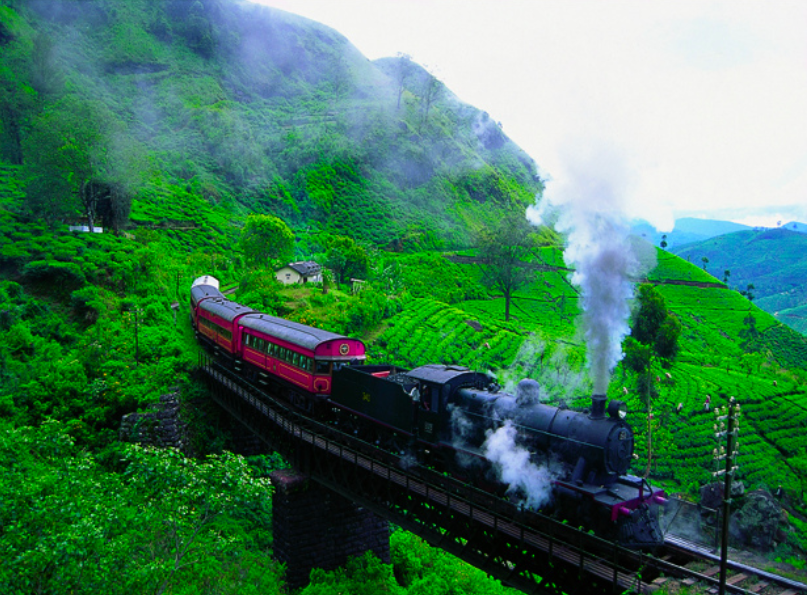 sri lanka with kids train