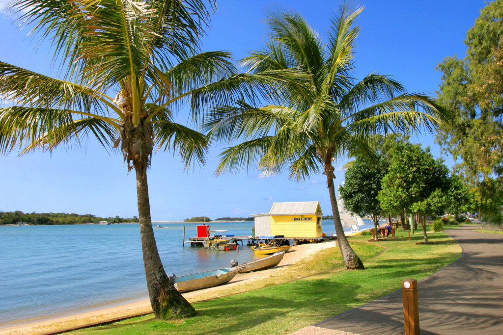 Noosa-River-Palms-PaulSmithImages